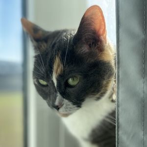 Meet your Posher, Zach